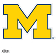 Michigan Wolverines 8 inch Logo Magnets